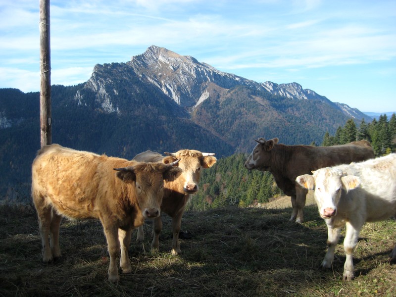 Rencontre sympathique...