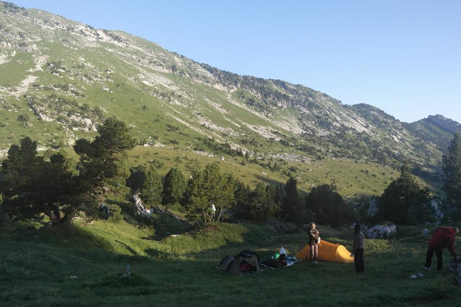Réveil difficile