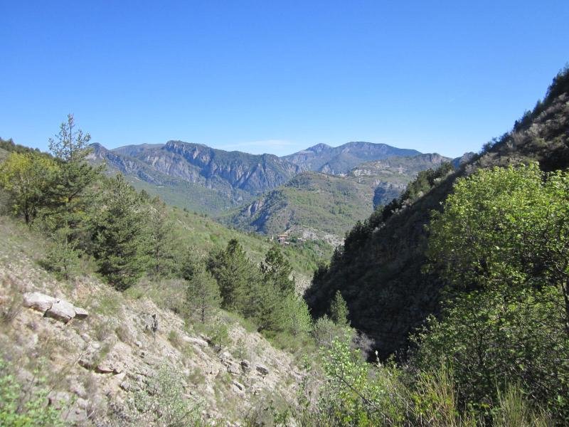 Reynier