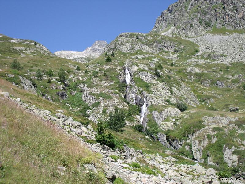 Rieu Claret.