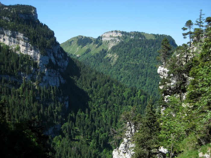 Roc D'arguille