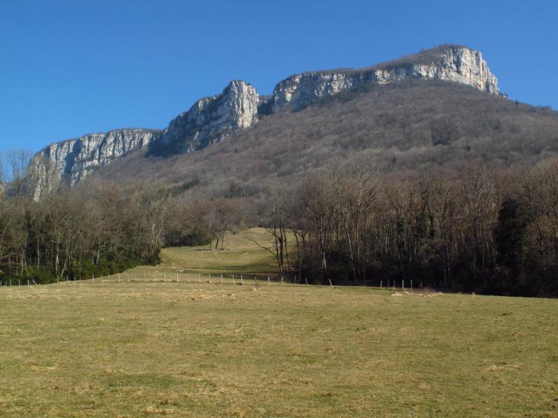 Roche Brune