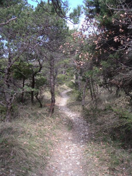 Roche Colombe