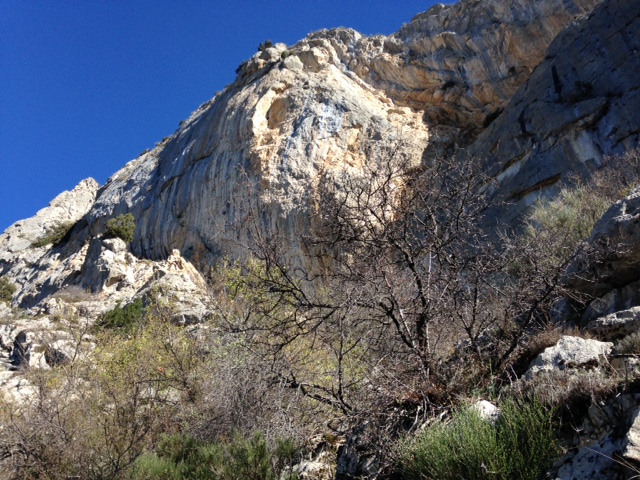Roche Courbe