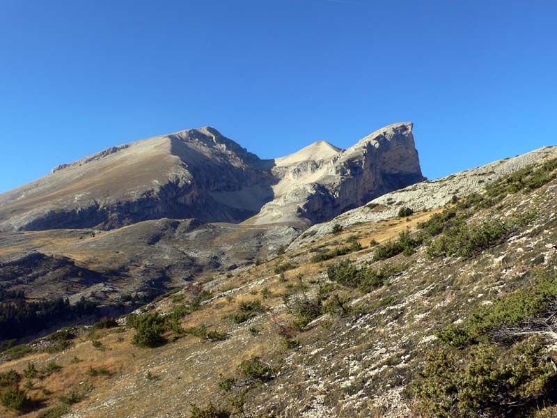 Roche Courbe