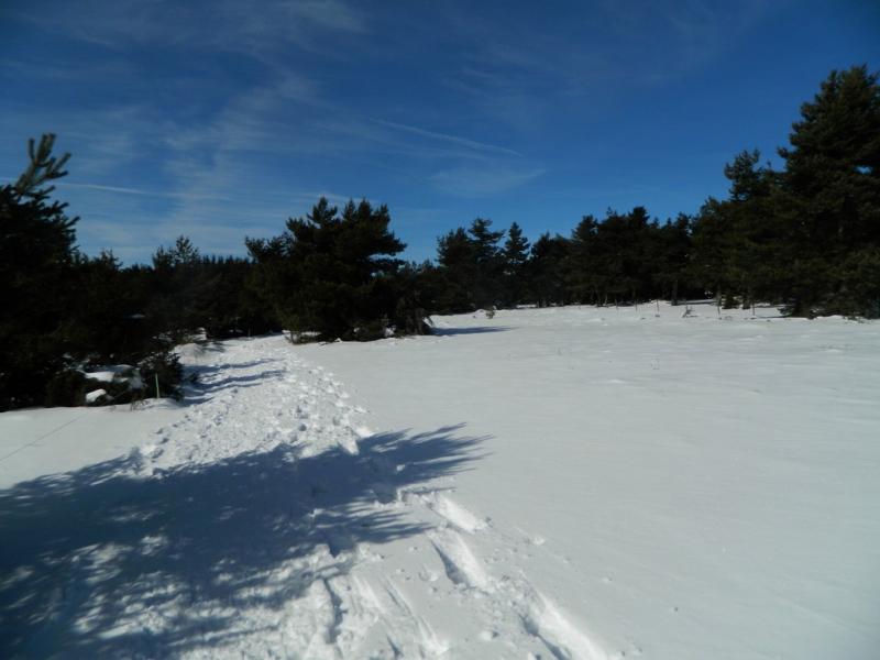 Roche Gourgon
