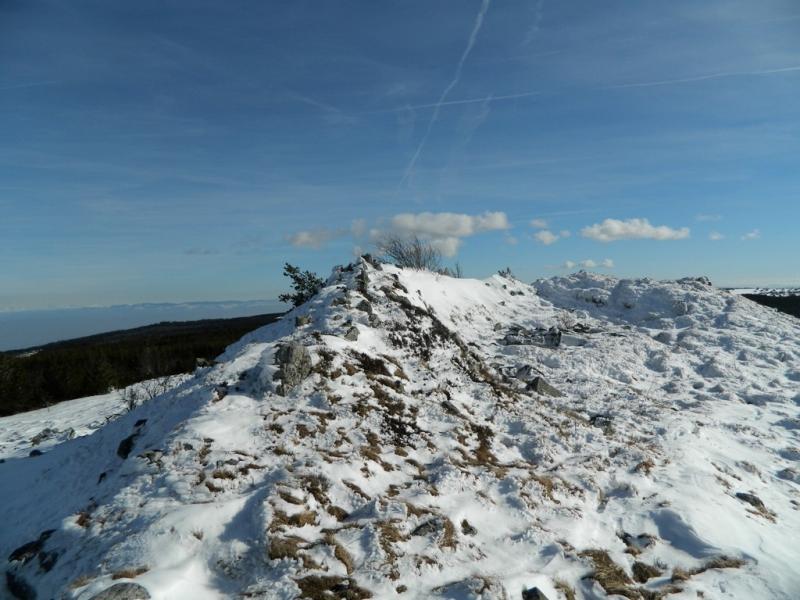 Roche Gourgon