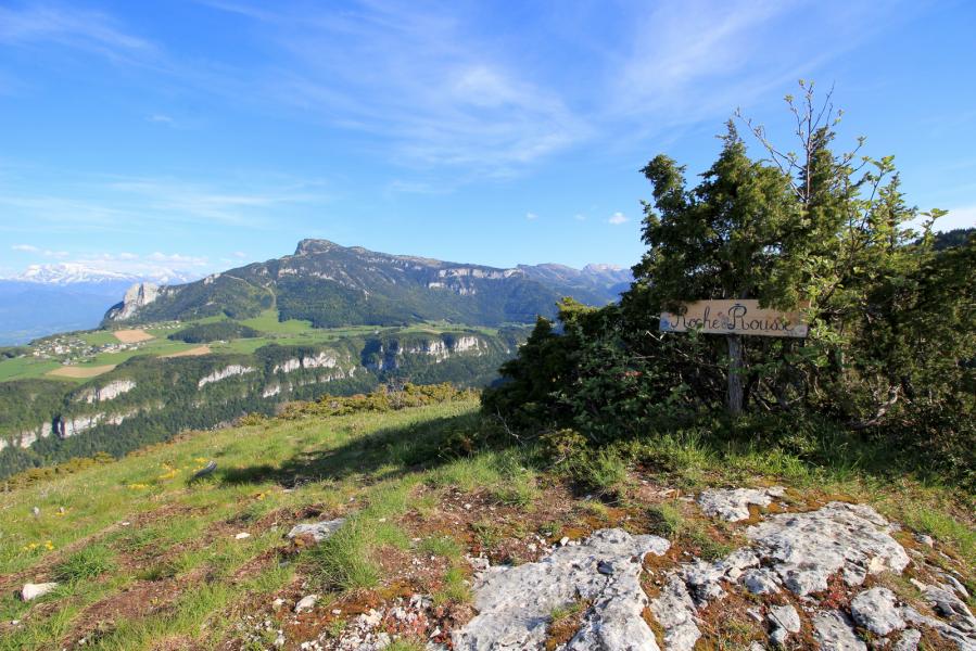 Roche Rousse