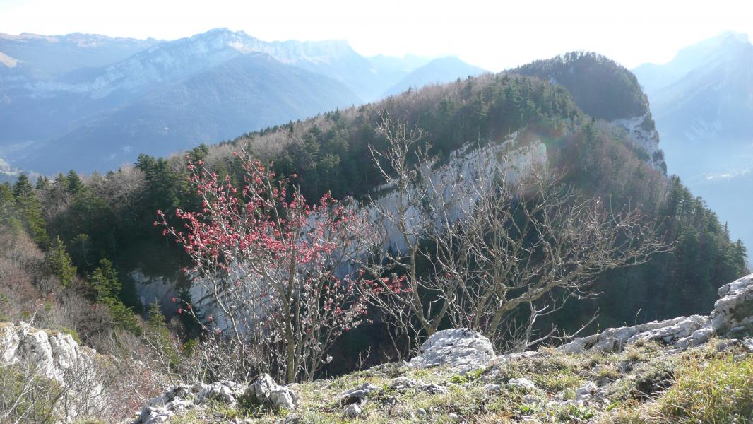 Roche Veyrand 1429 m - Chartreuse Nord