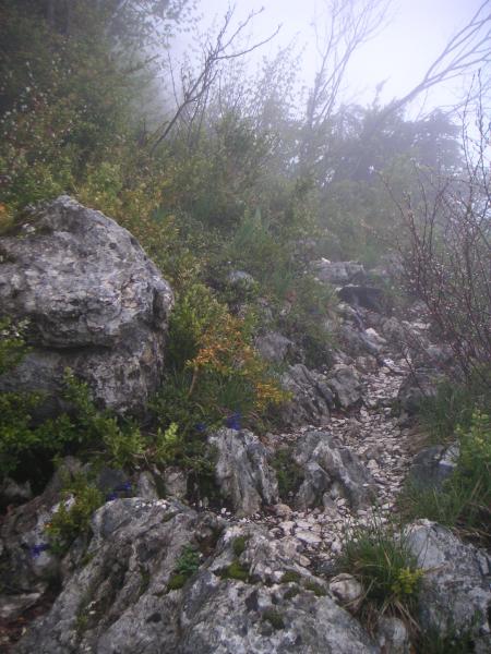 Roche Veyrand