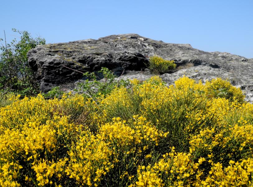 Roche de Tétrette 2