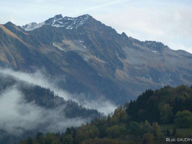 Rognier d'automne