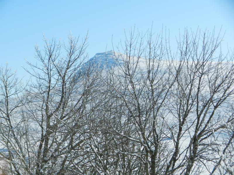 Rotenbachkopf