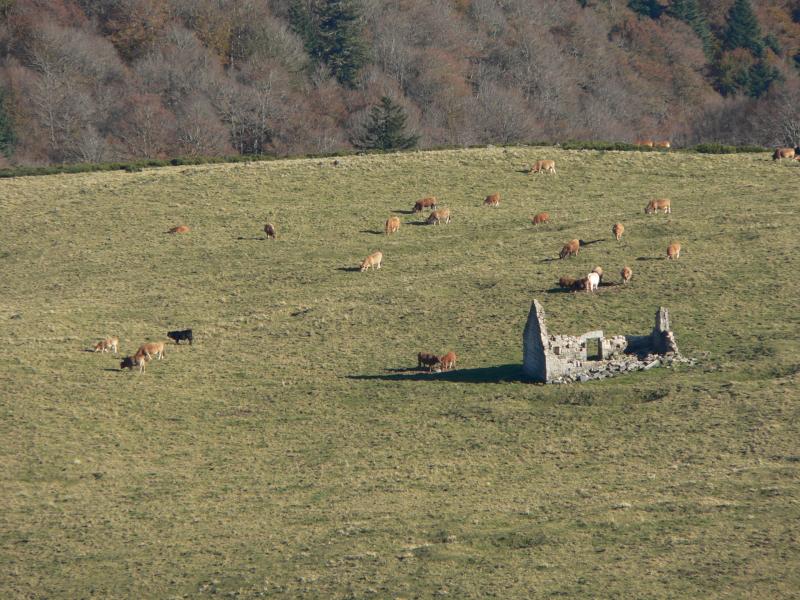 Ruine de la Montille