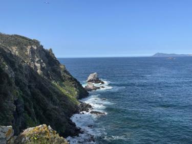 Boucle Ouest (Presqu'île de Giens)