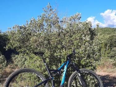 VTT dans la garrigue à Gréoux Les Bains