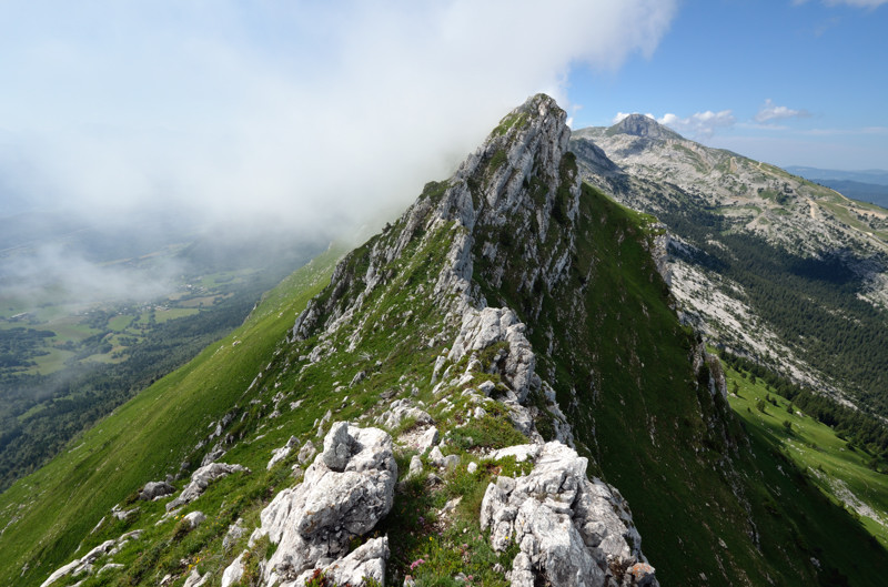 ranc des Agnelons