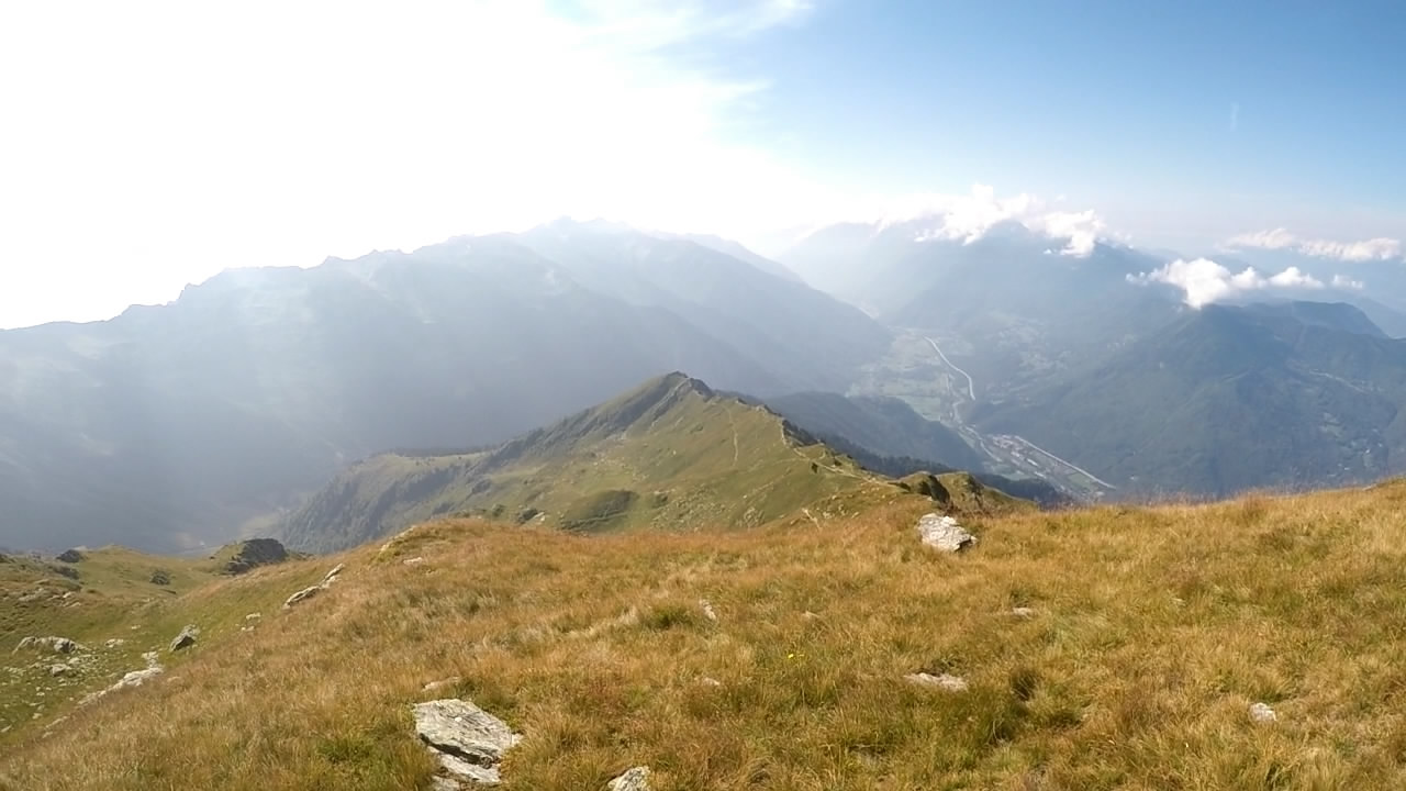 Rando, myrtilles , vol