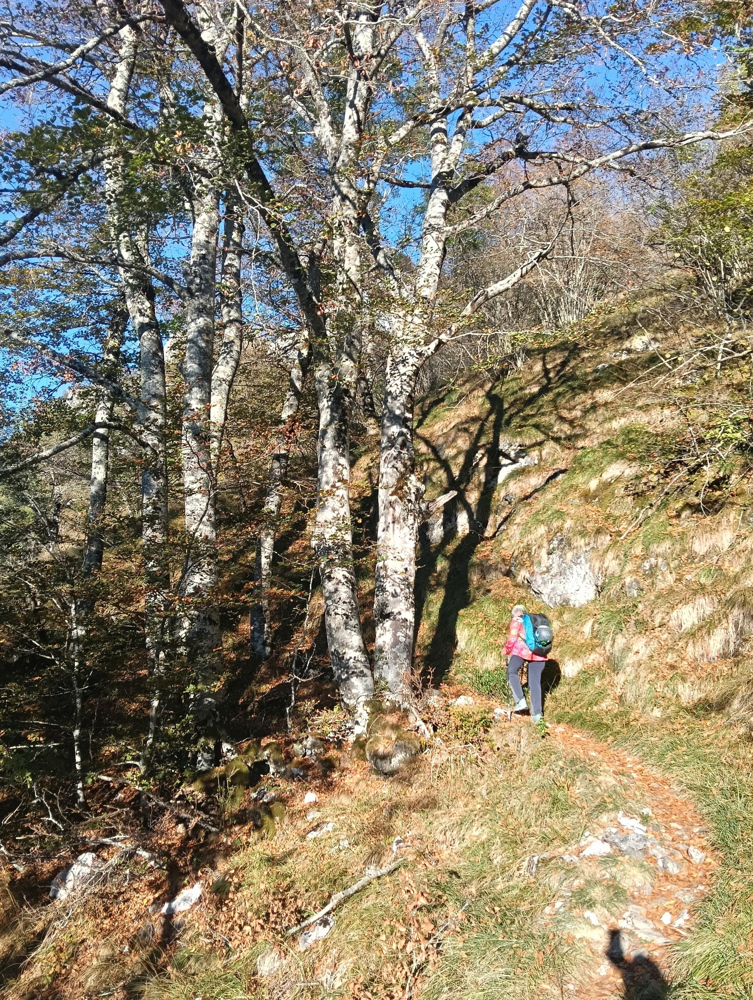 Randonnée 