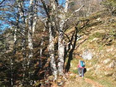 Quarante ans  (Pic du Gar)