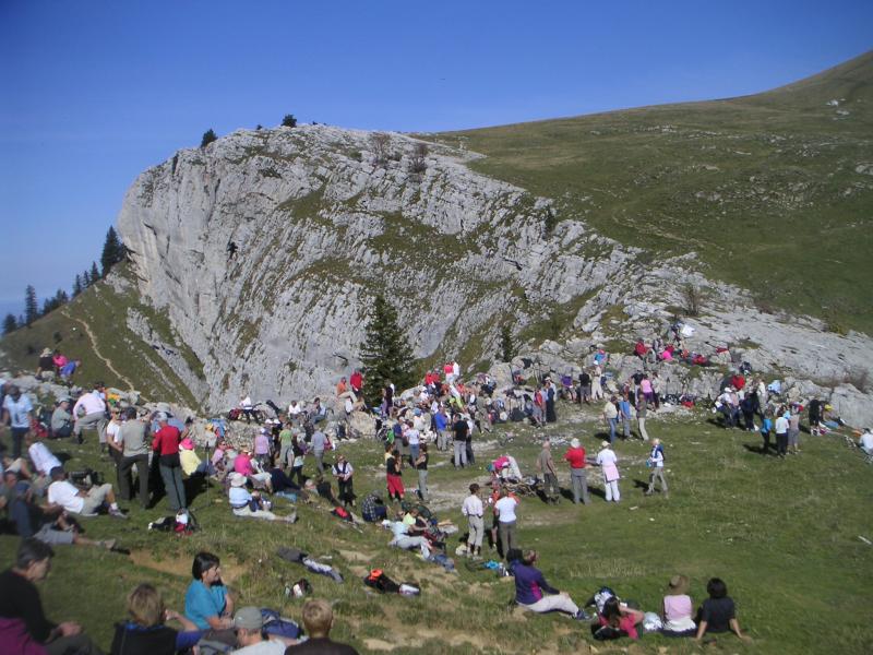 rassemblement châtaignes