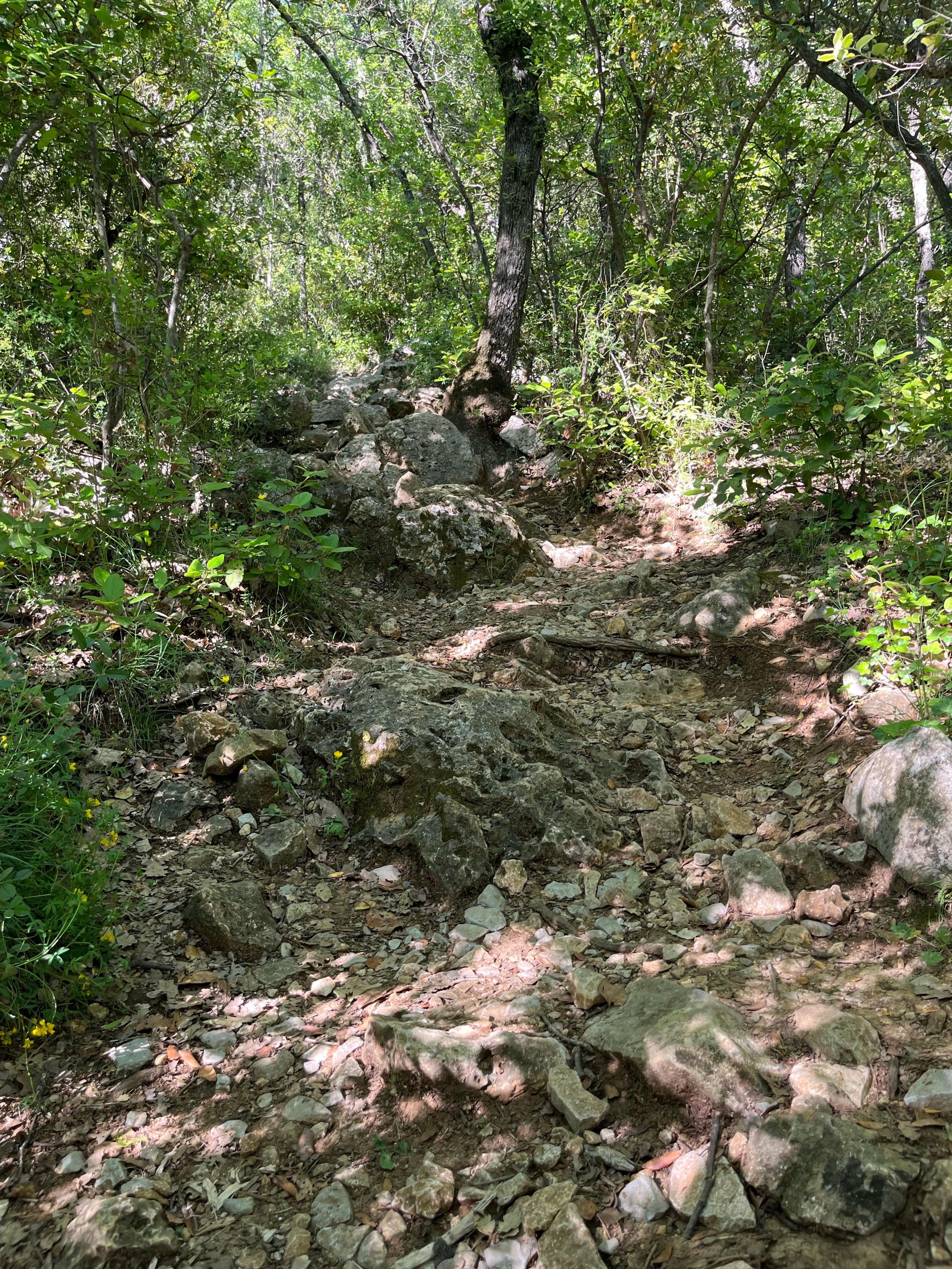 ravin des arcs gorges de l’Hérault 