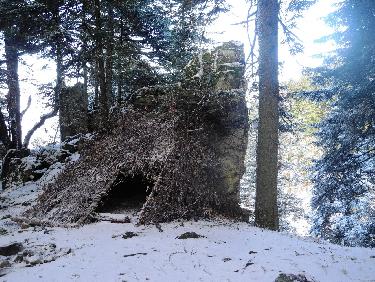 abri prÃ©caire (mais astucieux !)