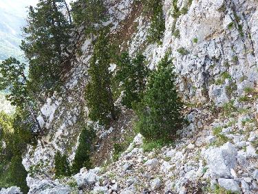 Regard arriÃ¨re sur la vire montante et la traversÃ©e prÃ©cÃ©dente