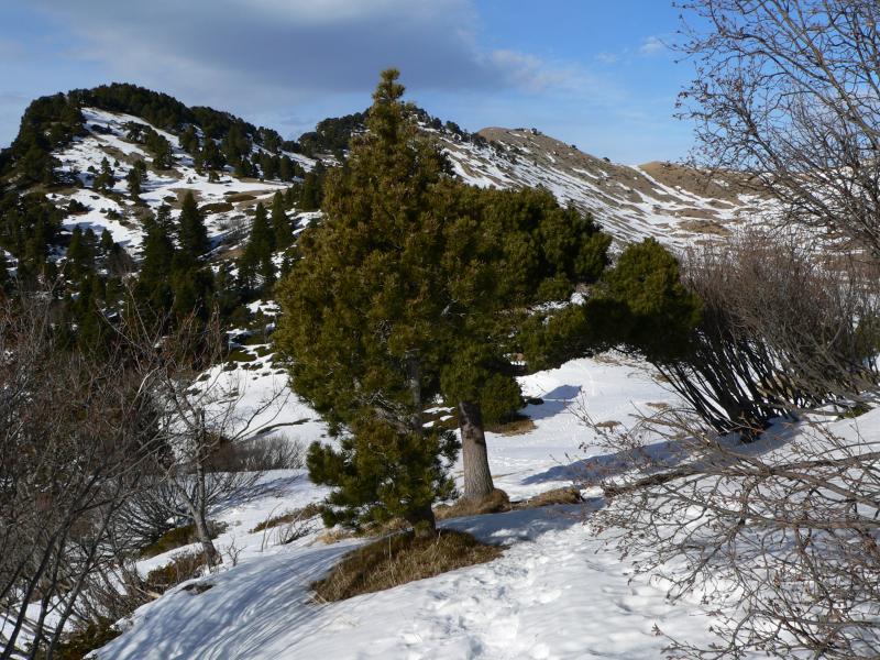 Regard arrière à l'approche des Bannettes