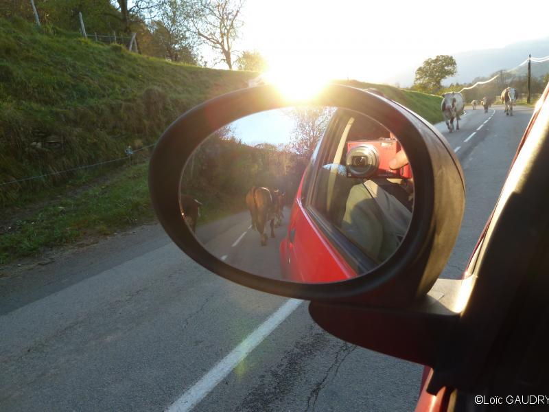 rencontre sur la route