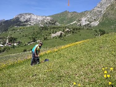 Retour a l&apos;aig verte