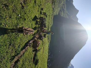 Retour a l&apos;aig verte