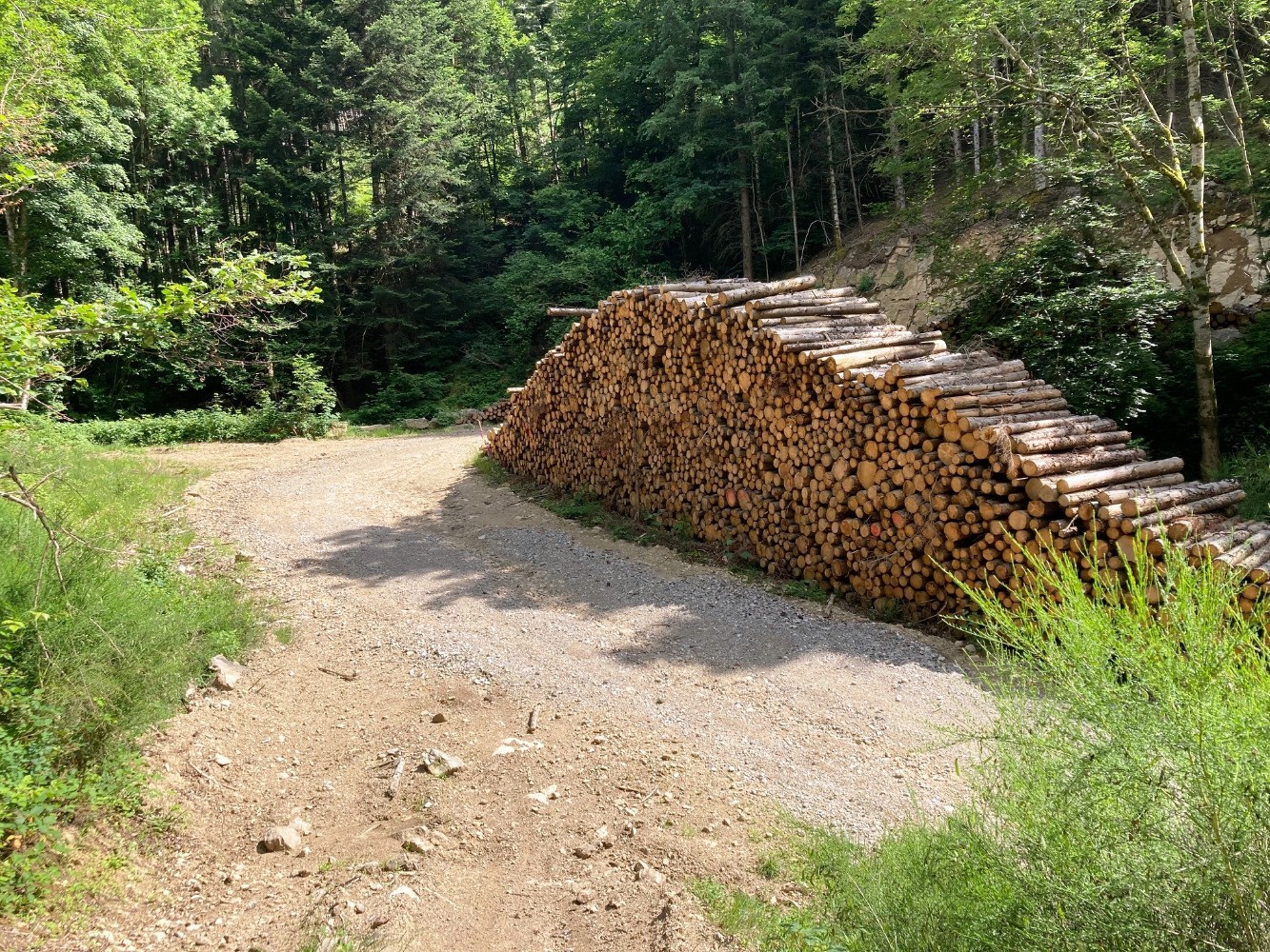 Retour au Ban dans le virage "du pique-nique''