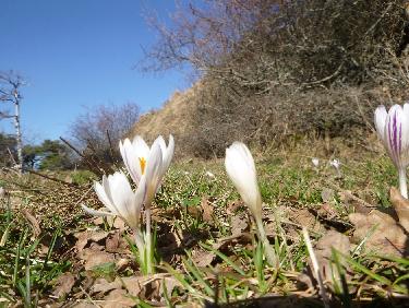 Retour aux affaires !!!!