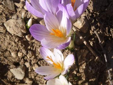 Retour aux affaires !!!!