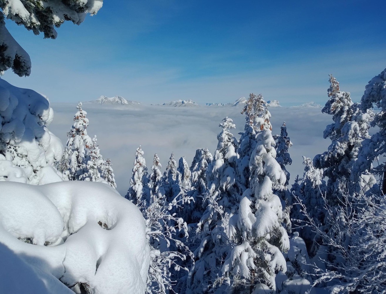 Retour dans les montagnes alpines !