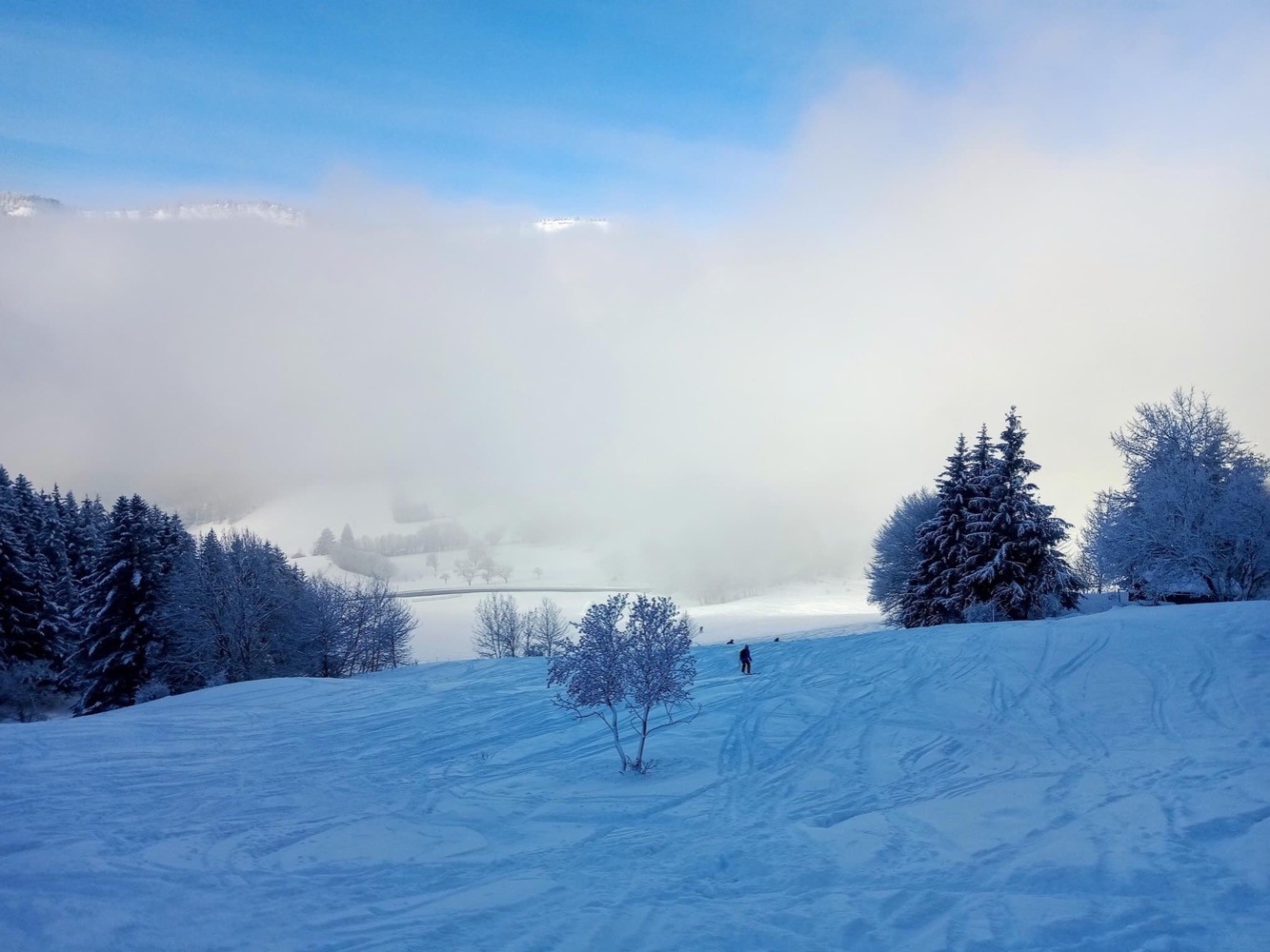 Retour dans les montagnes alpines !