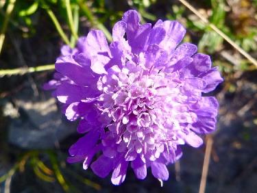 Retour à la montagne