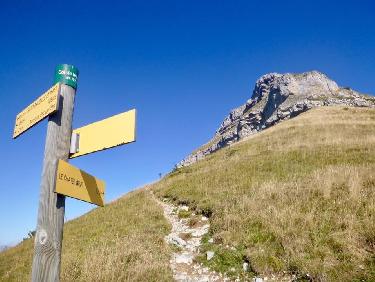 Retour à la montagne