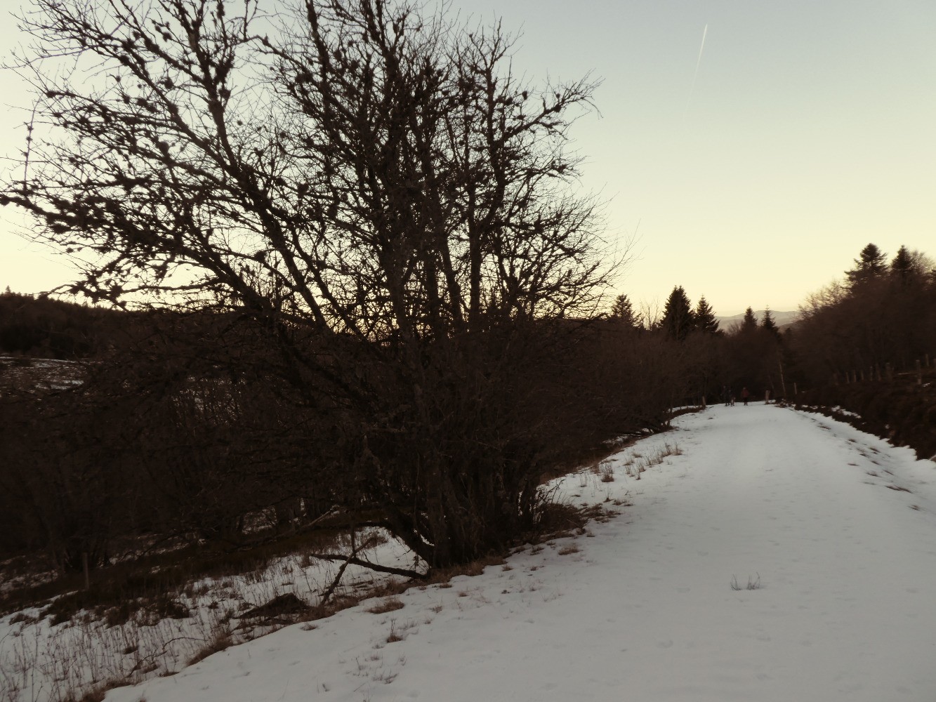 Retour vers le Col de Chansert