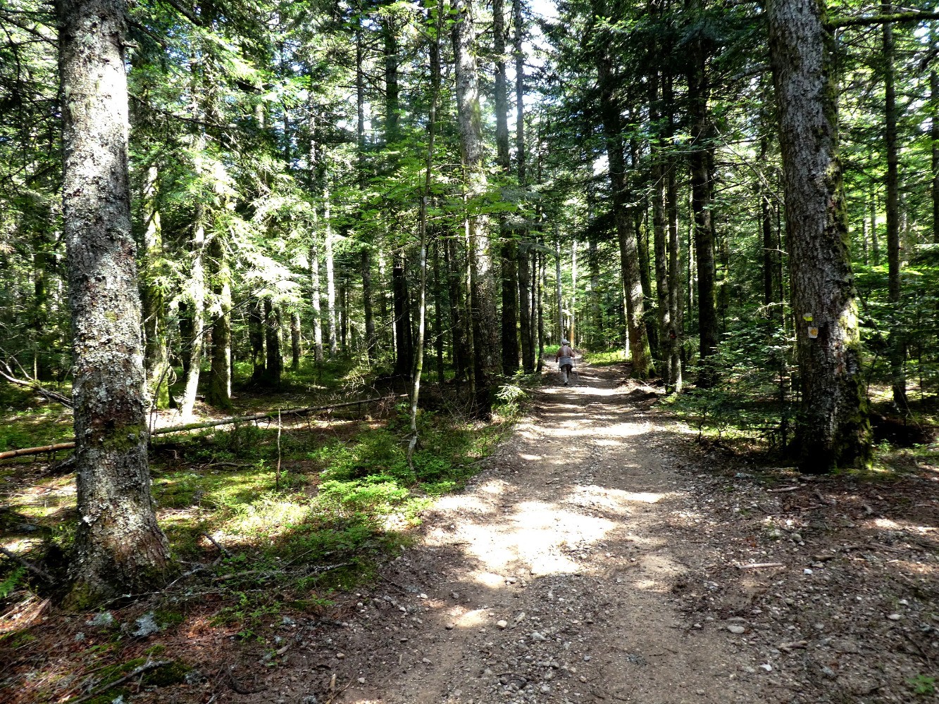 Retour vers le Col des Placiaux
