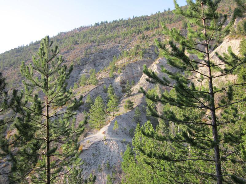 retour à Savel