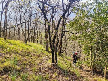 Retour aux fondamentaux 