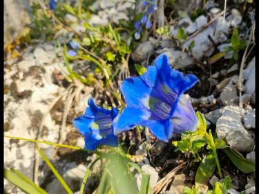 Retour aux fondamentaux 