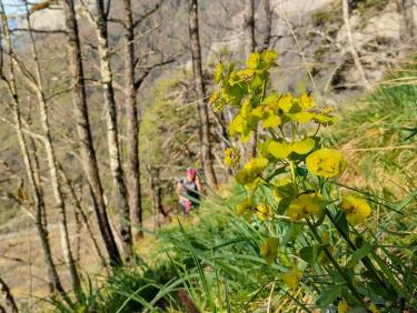 Retour aux fondamentaux 