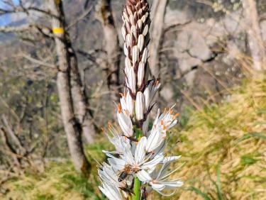 Retour aux fondamentaux 