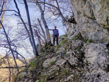 Retour aux fondamentaux 