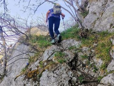 Retour aux fondamentaux 