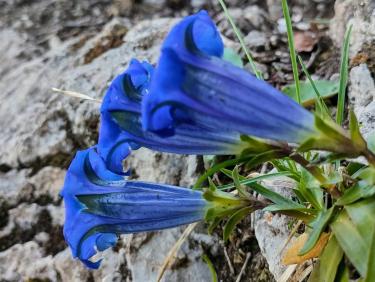 Retour aux fondamentaux 