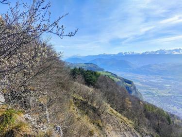 Retour aux fondamentaux 